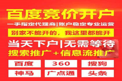 案例解析：SEM投放助力电商增长